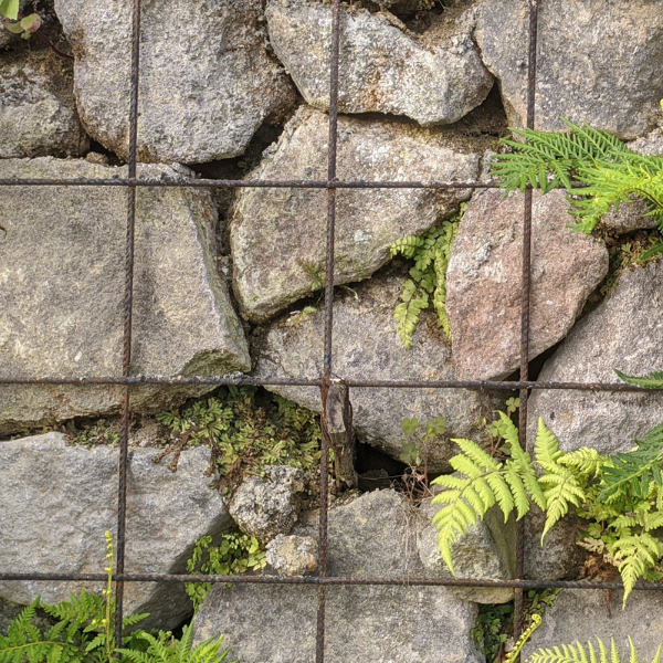 Gabion 600 × 600 px Gabion